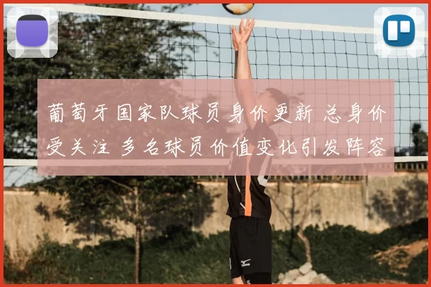 葡萄牙国家队球员身价更新 总身价受关注 多名球员价值变化引发阵容评估