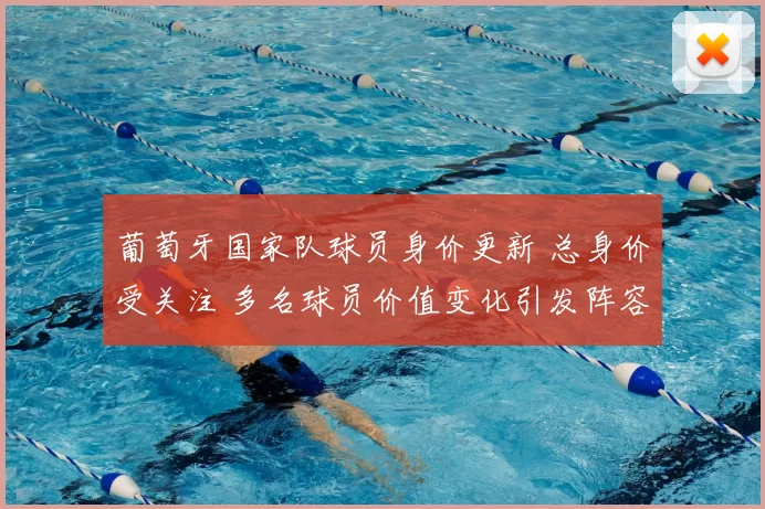 葡萄牙国家队球员身价更新 总身价受关注 多名球员价值变化引发阵容评估