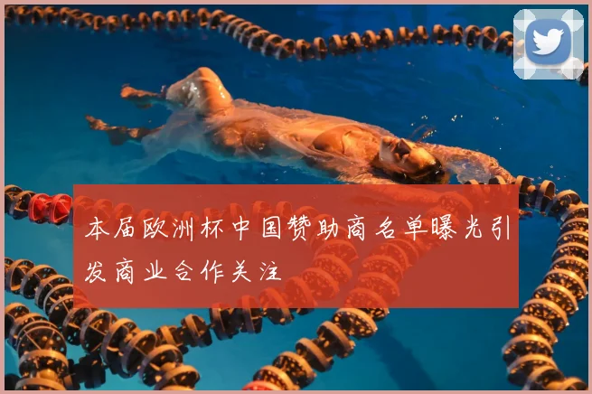 本届欧洲杯中国赞助商名单曝光引发商业合作关注