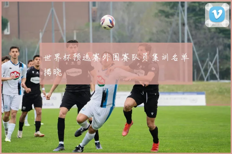 世界杯预选赛外围赛队员集训名单揭晓