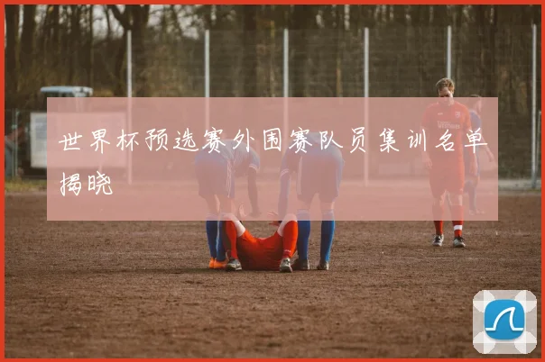 世界杯预选赛外围赛队员集训名单揭晓