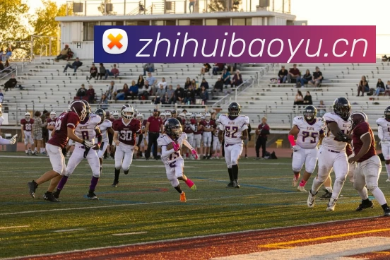 足球世界杯官网中文版全站App 足球世界杯官网中文版全站App